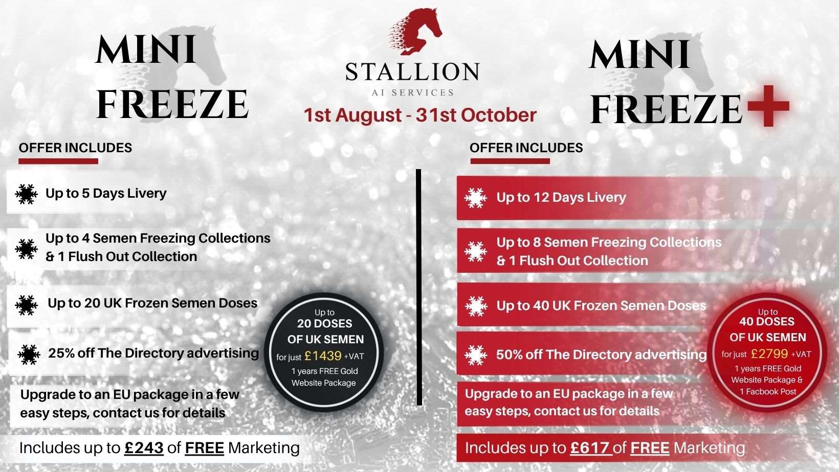 The Mini Freeze Returns 